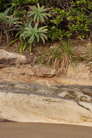 rock texture background nature reserve brisbane australiaの写真素材