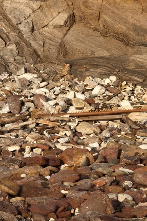 rock texture background nature reserve brisbane australiaの写真素材