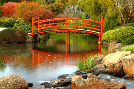 Japanese gardens in carnival of flowers town Toowoomba darling downs autumn colourの写真素材
