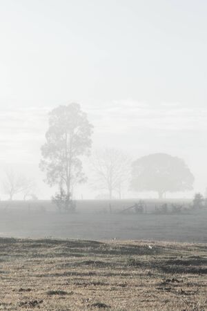 early morning winter fog with sun flare rural australiaの写真素材
