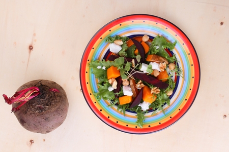 roasted beetroot and pumpkin goats cheese salad with microgreensの写真素材
