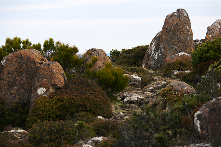 Mount wellington in hobart a major tourist attraction for its unique landscape of rocks and alpine vegatationの写真素材
