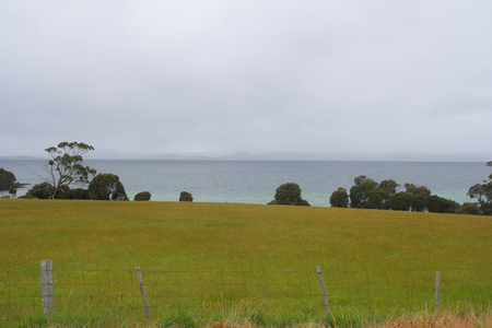 tasman penisular costal field backgroundの写真素材