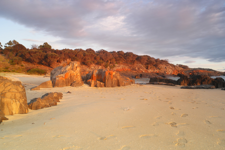 Spiky beach swansea tasmania with famous red lichen rocksの写真素材