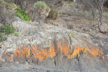 Spiky beach swansea tasmania with famous red lichen rocksの写真素材