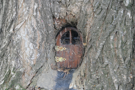Mouse house in a tree ross tasmaniaの写真素材