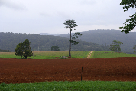 mixed farming scene moorina tasmaniaの写真素材
