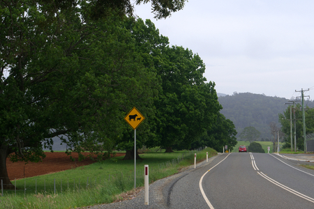 road scene country tasmania tasmna highway moorinaの写真素材