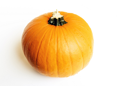 Pumpkin  on a white backgroundの写真素材