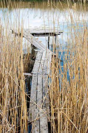 An old wooden fishing bridge surrounded by reeds. Vertical photo.の写真素材