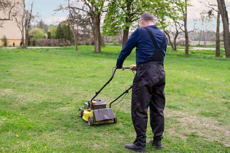 A man in work clothes is standing on the lawn and wants to mow the grass with the mower.の写真素材