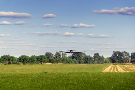 Horizontal photo of a small plane landing on a grass runway in summer.の写真素材