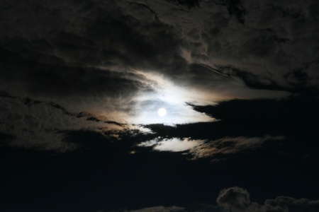 The big eyeの写真素材