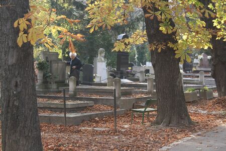 Cemetery of Budapestの写真素材