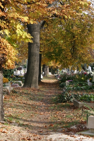 Cemetery of Budapestの写真素材
