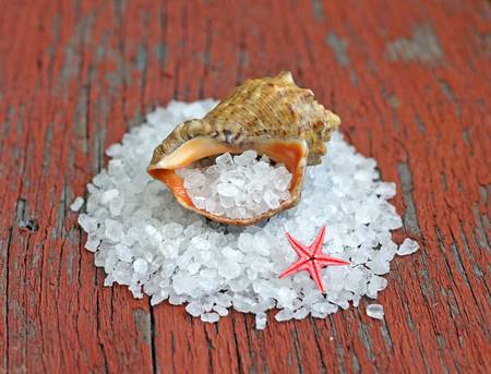 sea salt in shell on wooden background, close-upの写真素材