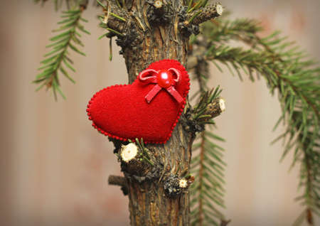 dying tree of love  concept の写真素材