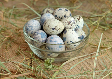 Fresh quail eggs in glass bowl, close-up