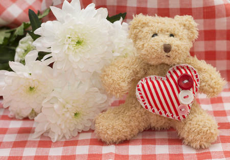 Pleasant surprise to woman on March, 8 - cute teddy bear and flowersの写真素材