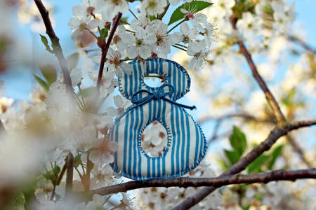 Spring concept. Number 8 on flowering cherry-trees, close-up
