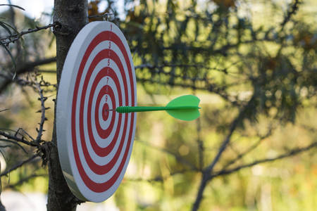 Dartboard on tree. Image of green dart hit the bullseyeの写真素材