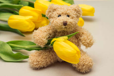 Teddy bear and yellow tulips, close-up. Gift for women