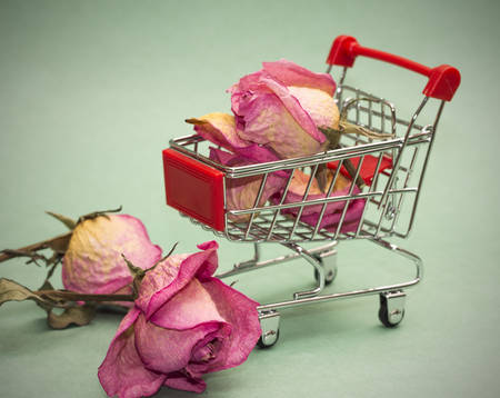 Conceptual photo. Sale of beauty and youth. On dirty green backgroundの写真素材