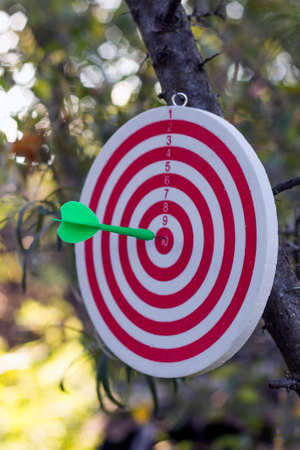 Concept of achieving the goal. Sport. Darts, close-upの写真素材
