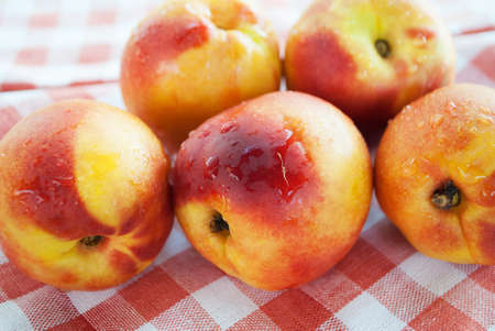Studio photo of large juicy nectarines, close-upの写真素材