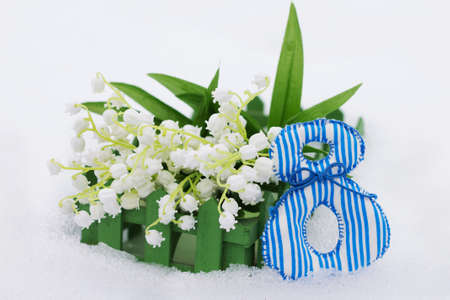 March 8. Lilies of the valley in snow. Beautiful pictureの写真素材