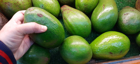 Fresh avocado fruits display for sale on the supermarket