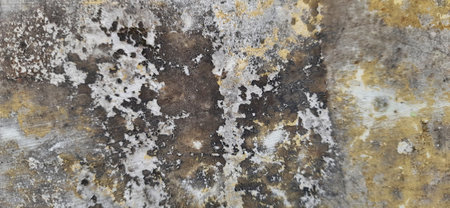 Old grunge wall texture. Abstract background and texture for design.の写真素材