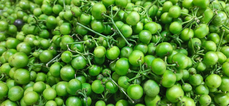 Solanum nigrum or solanaceae family background, in Indonesia called leunca fruits ready for sale at marketの写真素材