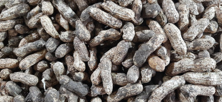 Pile of dried peanuts as a background. Close-up.