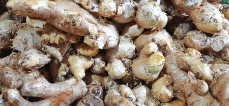 Ginger root in the market, close-up, macro.
