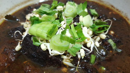 Black meat soup Rawon with leeks and bean sprouts crackers in a white bowl isolated on white backgroundの写真素材