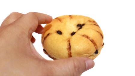 Hand Holding Maxi Choco Cheese Bread with Choco Chips and Filled Cream Cheese Isolated on White...