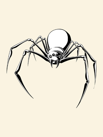 Hand drawn spider sketch, vector illustration.のイラスト素材