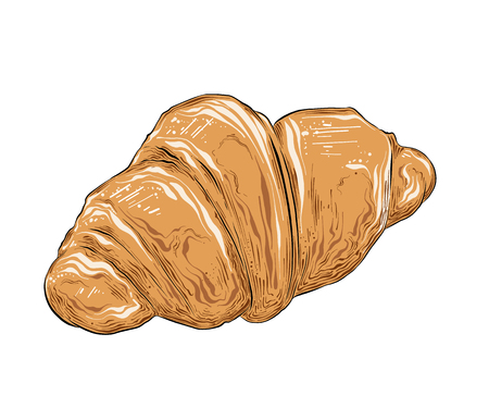 Hand drawn sketch of croissant in color isolated on white background. Detailed vintage style drawing. Vector illustration.のイラスト素材