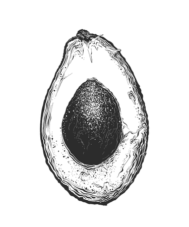 Hand drawn sketch of half avocado in black color. Isolated on white background. Drawing for posters, decoration and print. Vector illustration.のイラスト素材