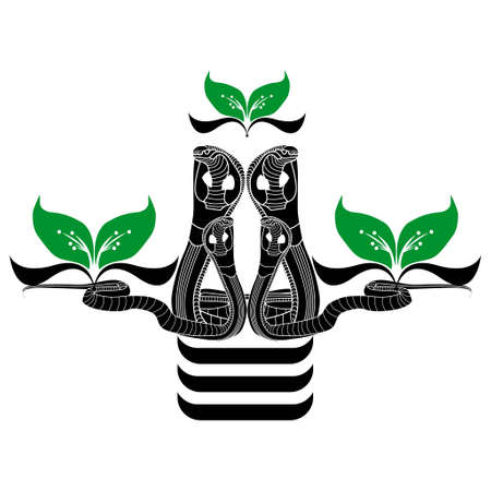 king cobra logo design. snake sketch isolated on white backgroundのイラスト素材