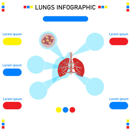 lungs info graphic icon,vector medical illustrationのイラスト素材