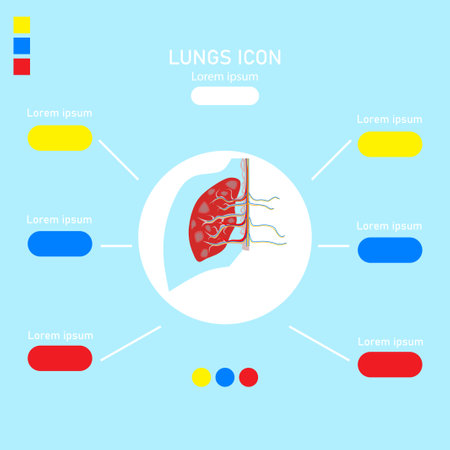 lungs info graphic icon,vector medical illustrationのイラスト素材