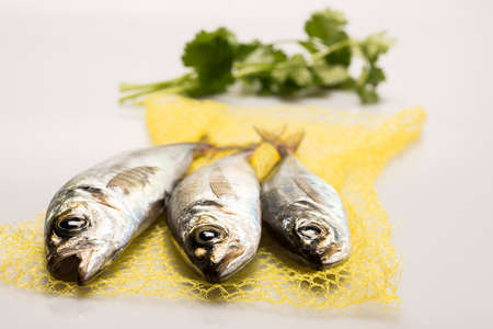 raw fishの写真素材