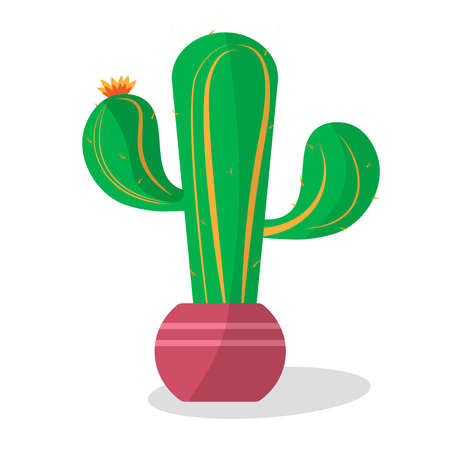 Green Mexican cactus succulent on a pot vectorのイラスト素材
