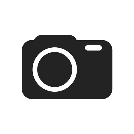 Icolated pictogram sign of camera with lens and flash, simple DSLR iconのイラスト素材