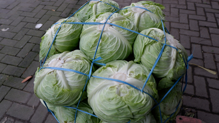 a stack of fresh vegetables ready for consumptionの写真素材