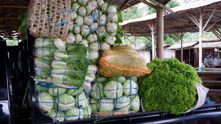 a stack of fresh vegetables ready for consumptionの写真素材