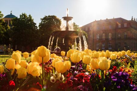 Lovely Picture of Flowers in front of a fountain on a warm morning in the Stuttgart Palace Park, Germanyのeditorial素材