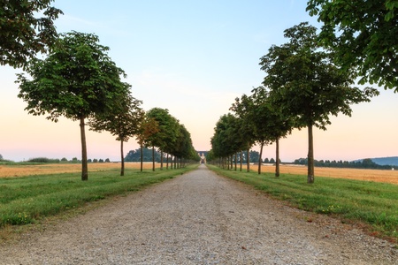 Morning Avenue  Shot of an Avenue at Chateau Seehof before sunrise in Bavaria, Germanyの写真素材